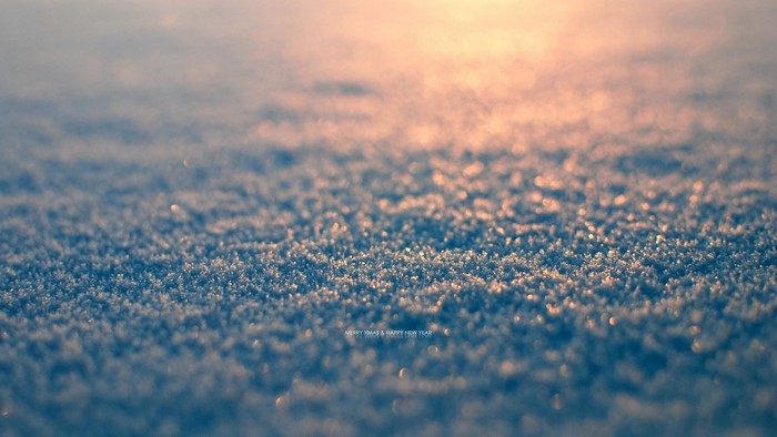 Close up of snow with sunset light