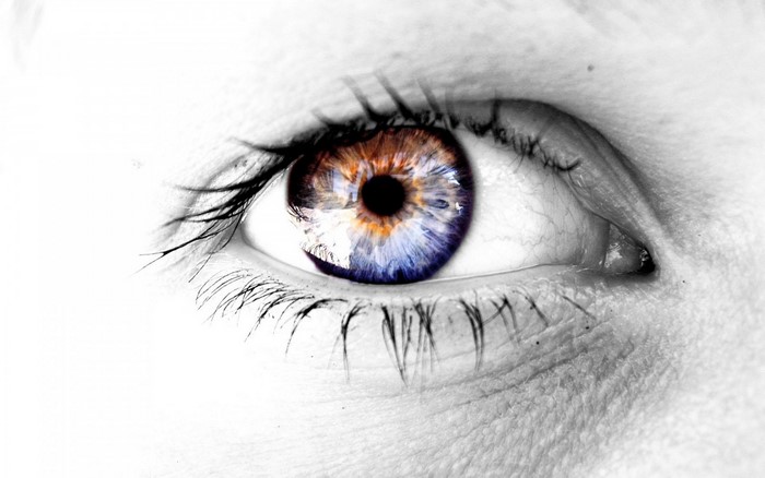 Close-up of a human eye with colorful iris