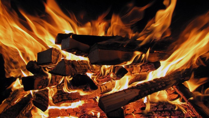 Close-up of burning logs in a campfire