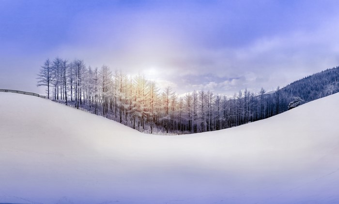 Snowy landscape with trees and mountains