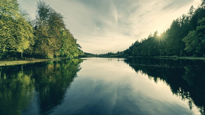 Sunlight over a forest lake with reflections