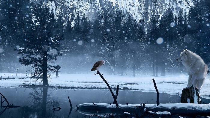Wolf and Barn Owl in a Snowy Forest