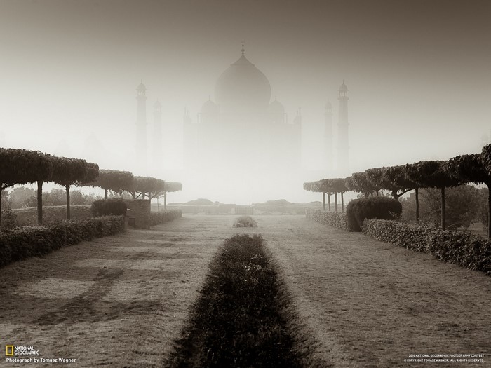 Taj Mahal in Fog with Garden