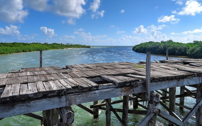 Dilapidated wooden pier on a tropical waterway