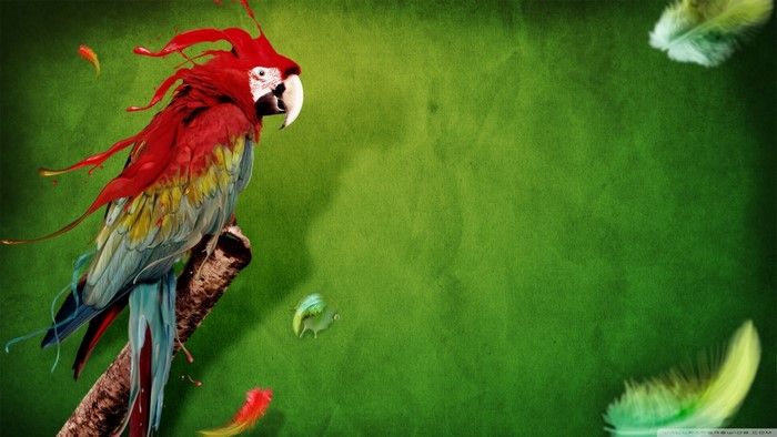 Abstract Macaw Parrot with Splattered Paint and Feathers