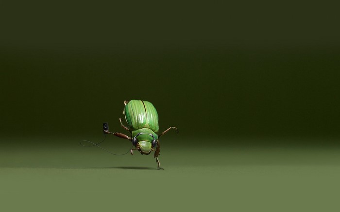 Green beetle with headphones and smartphone