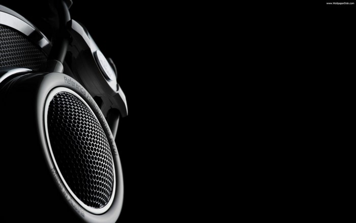 Reference Headphones