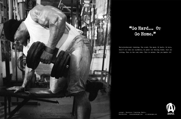 Bodybuilder lifting dumbbell in gym
