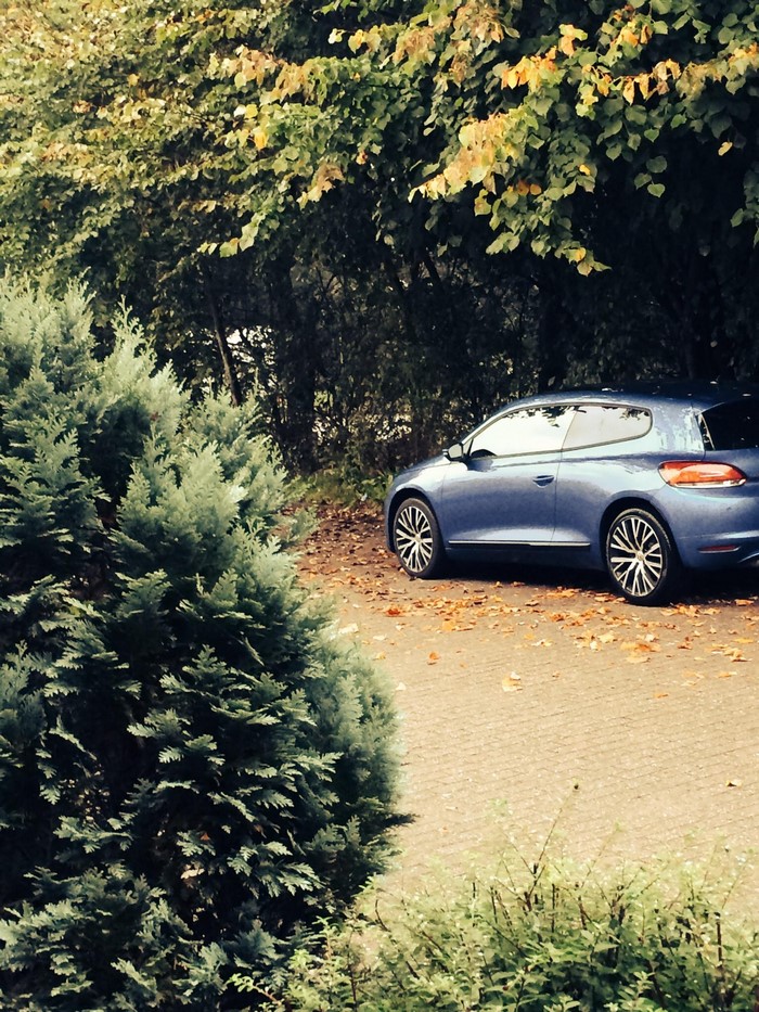 Blue Volkswagen Scirocco parked near trees