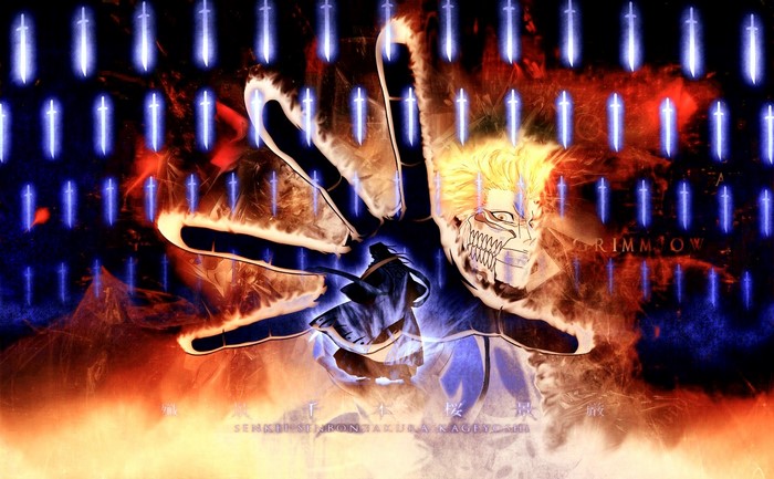 Grimmjow Jaegerjaquez and Kuchiki Byakuya from Bleach