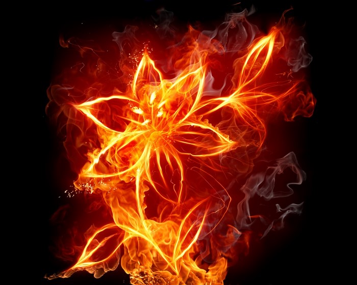 Fire flower illustration with sparks and smoke