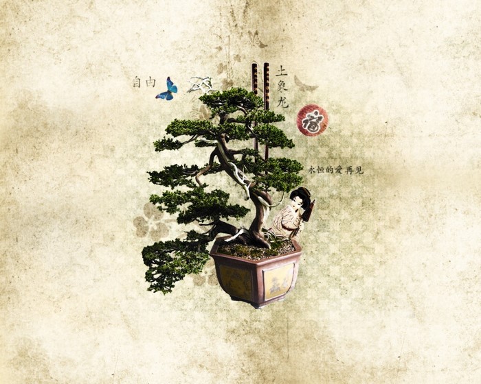 Bonsai tree with Japanese woman and butterfly