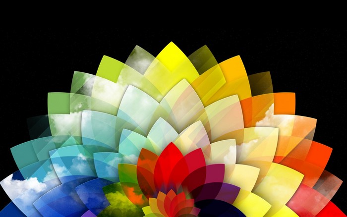 Abstract colorful flower petals on black background