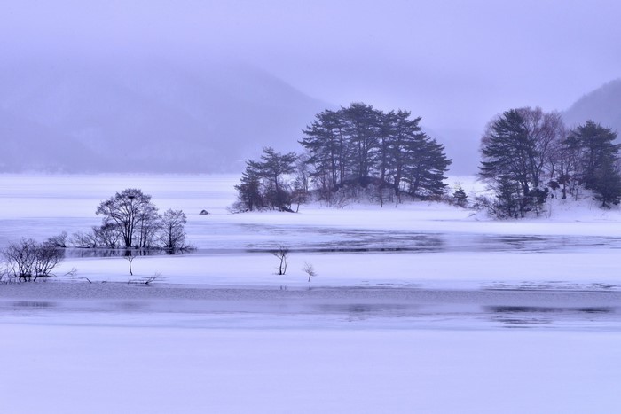 Frozen lake with islands of trees in winter