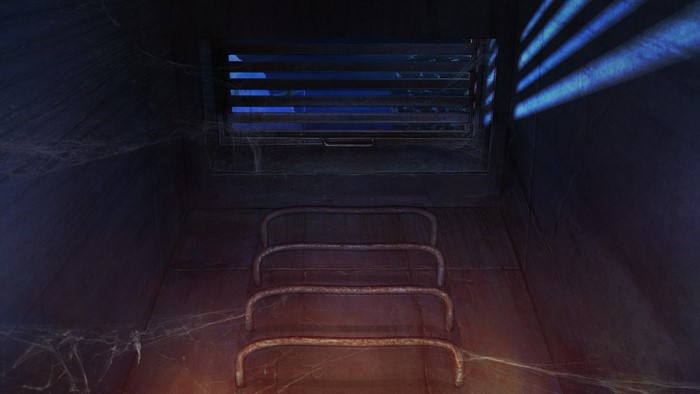 Ventilation shaft with ladder and spiderwebs