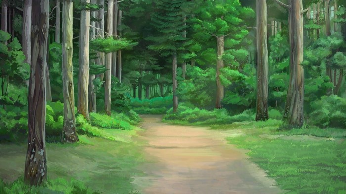 A path through a dense green forest with tall trees.