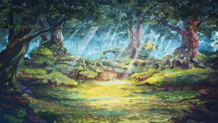 Sunlight filtering through trees in a forest clearing