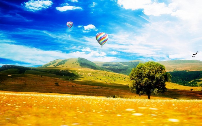 Hot air balloons over a grassy landscape with mountains