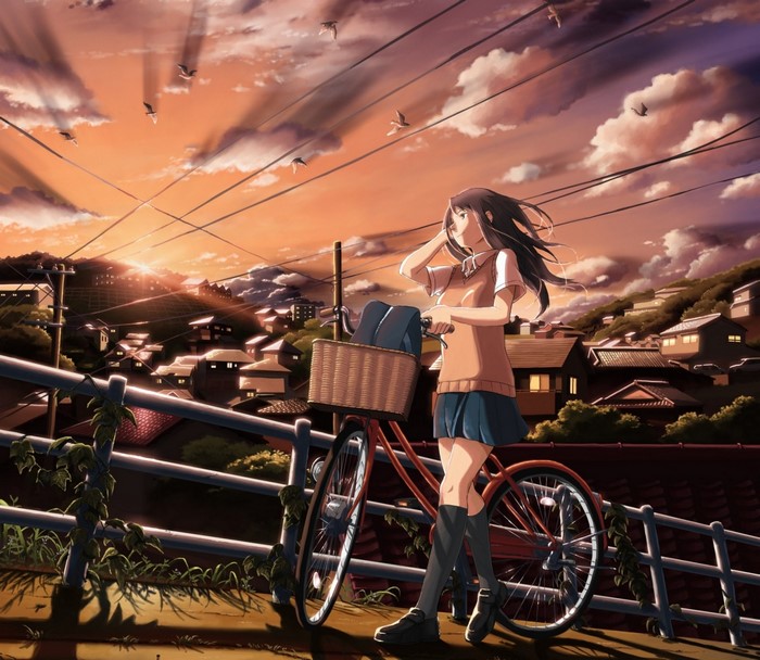 Anime girl with bicycle at sunset