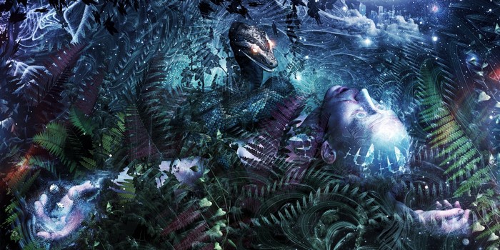Spiritual snake and man in mystical forest