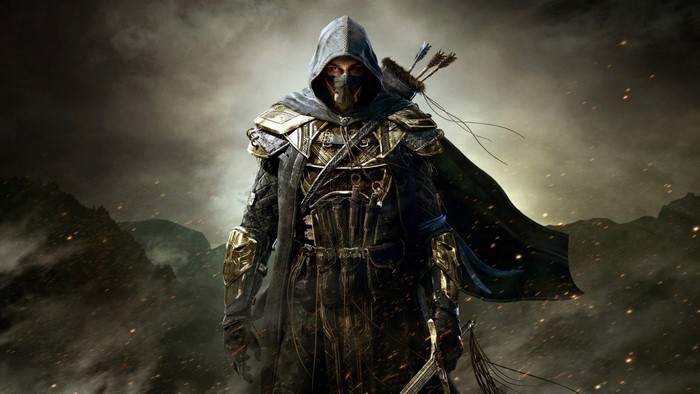 The Elder Scrolls Online character with hood and armor