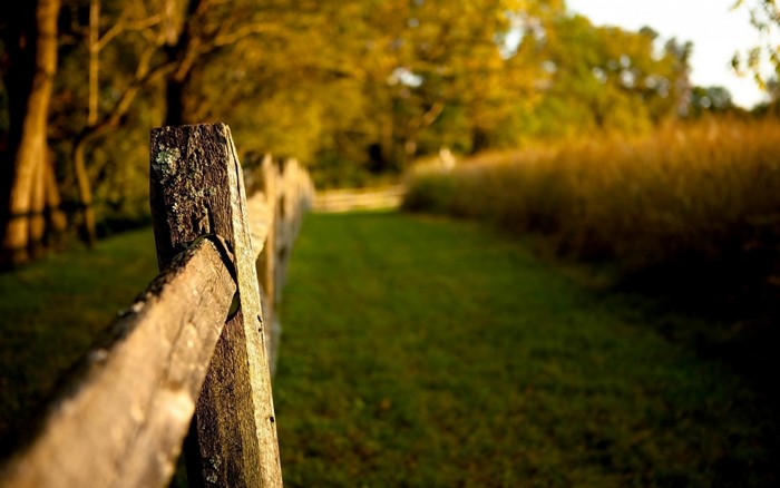 Wooden fence along a grassy path in autumn sunlight