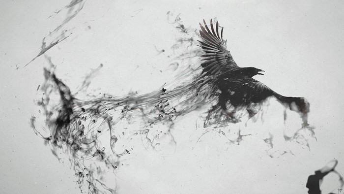 Black ink raven flying and dissolving into smoke