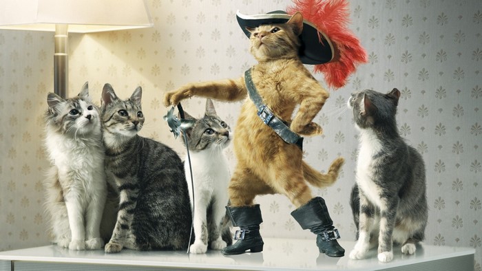 Puss in Boots and other cats on a shelf