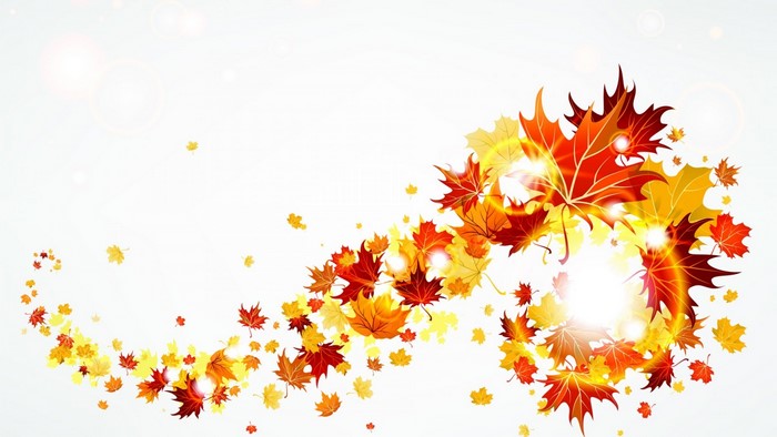 Autumn maple leaves swirling with sunlight