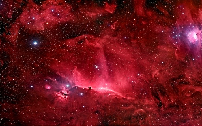Horsehead and Flame Nebulae in Deep Space
