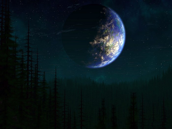 Planet in the night sky over a forest