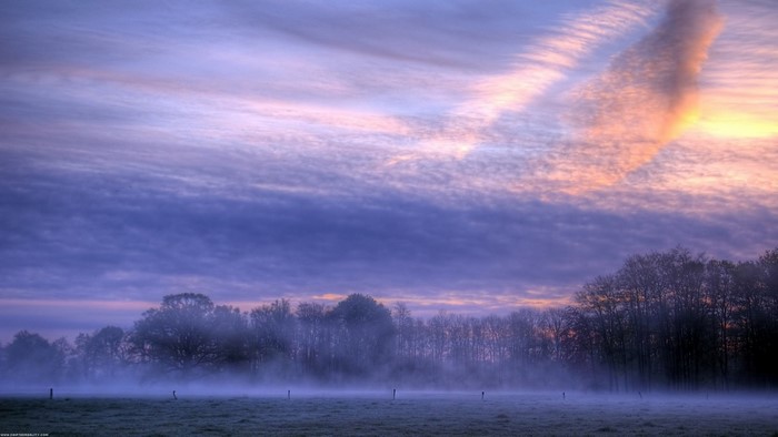 Misty field at sunrise with colorful clouds