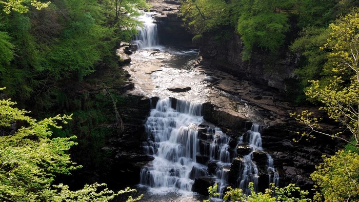 Waterfall cascading through a rocky forest gorge