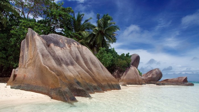 Granite boulders on a tropical beach with palm trees