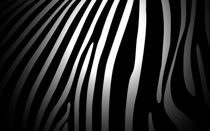 Abstract Zebra Stripes Pattern