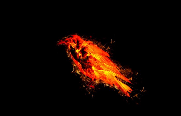Bird made of fire on a black background