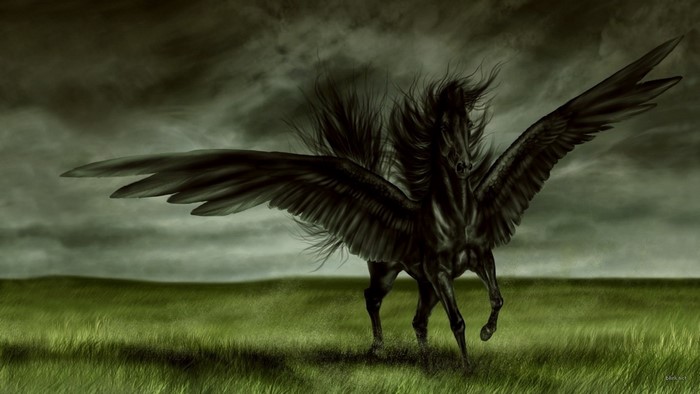 Black Pegasus with large wings in a field