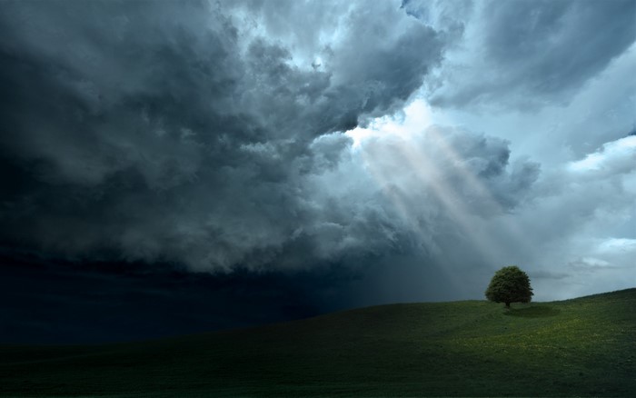 Stormy sky with sunbeams over a lone tree on a hill