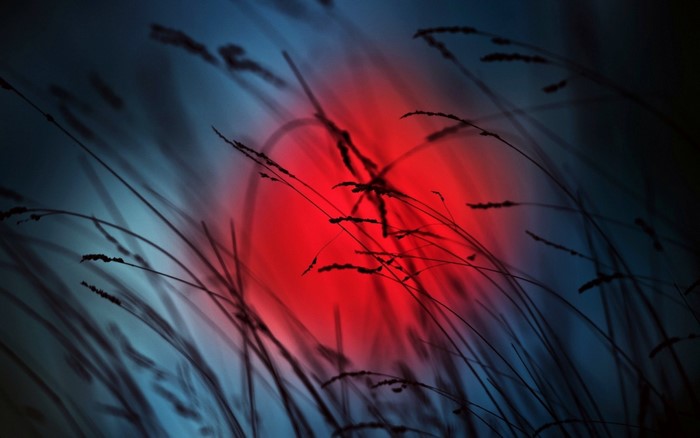Red circle behind grass stalks