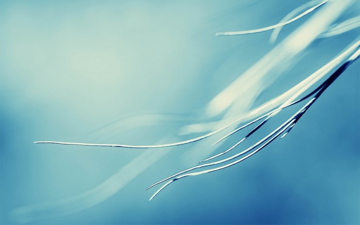 Close-up of thin, white strands against a blue background