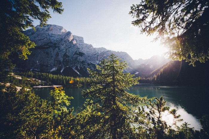 Sunlight over a mountain lake with pine trees