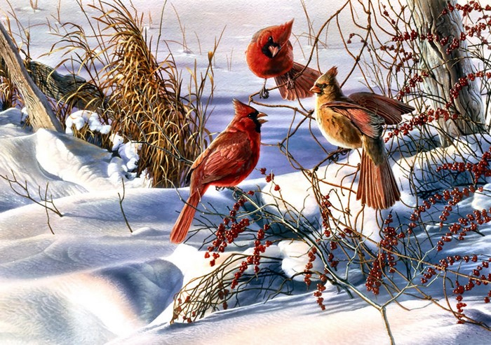 Three Cardinals in a Snowy Winter Scene