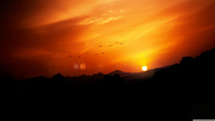 Silhouette of mountains and birds during sunset