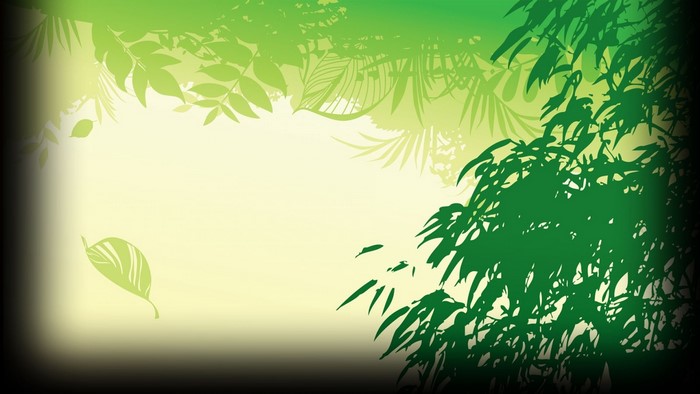 Green leaves and branches with sunlight