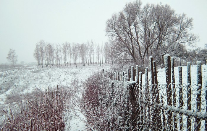 Snowy landscape with a fence and bare trees