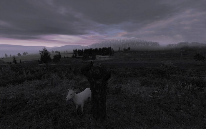 DayZ screenshot of a player and a goat in a misty landscape