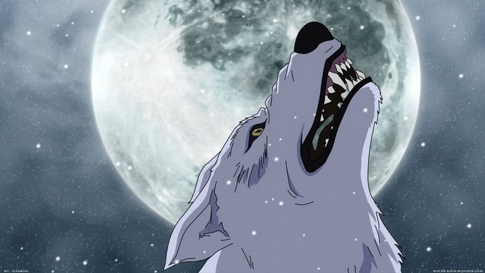 Wolf howling at the moon