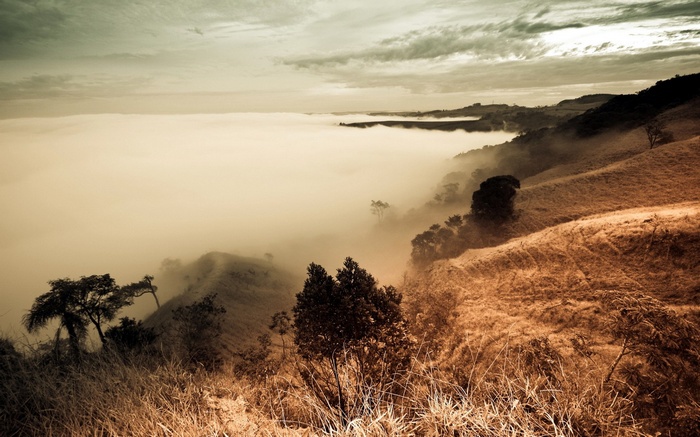 Foggy mountain landscape with trees and dry grass