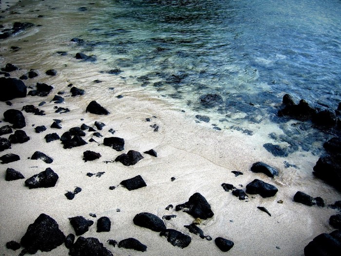 Black rocks on a sandy beach with clear ocean water