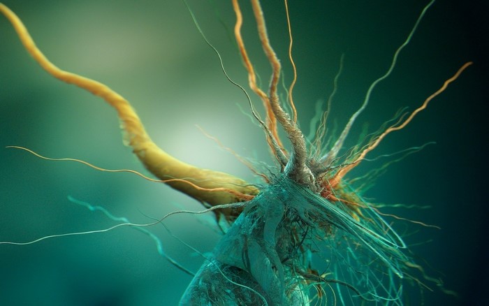 Abstract biological organism with tendrils